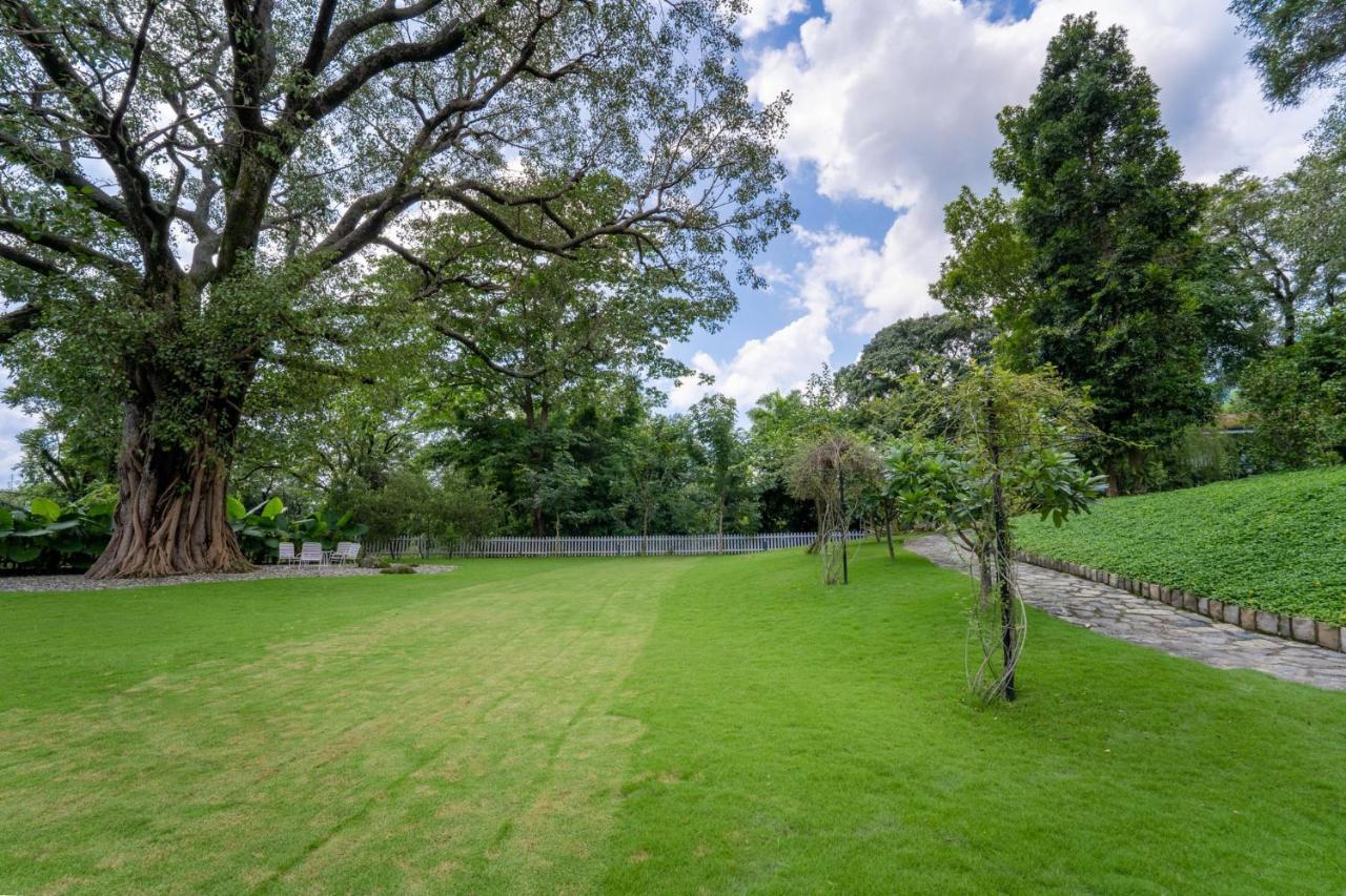 Lohonostays Ivy Cottage Dehradun Eksteriør billede